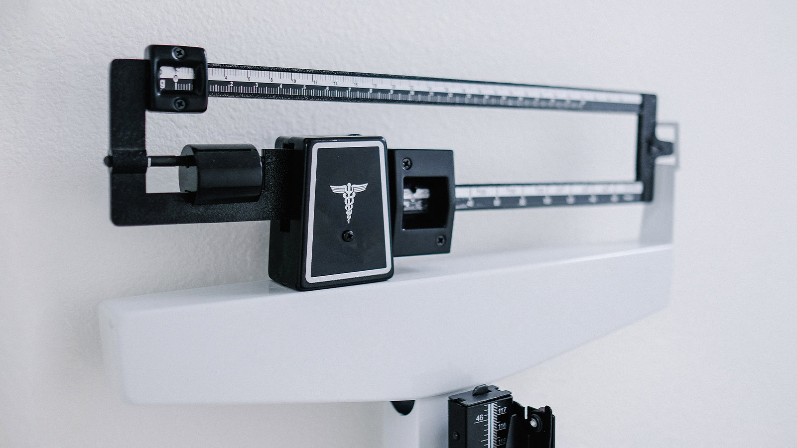 IMC ÍNDICE DE MASA CORPORAL ¿QUÉ ES? ProLon® España